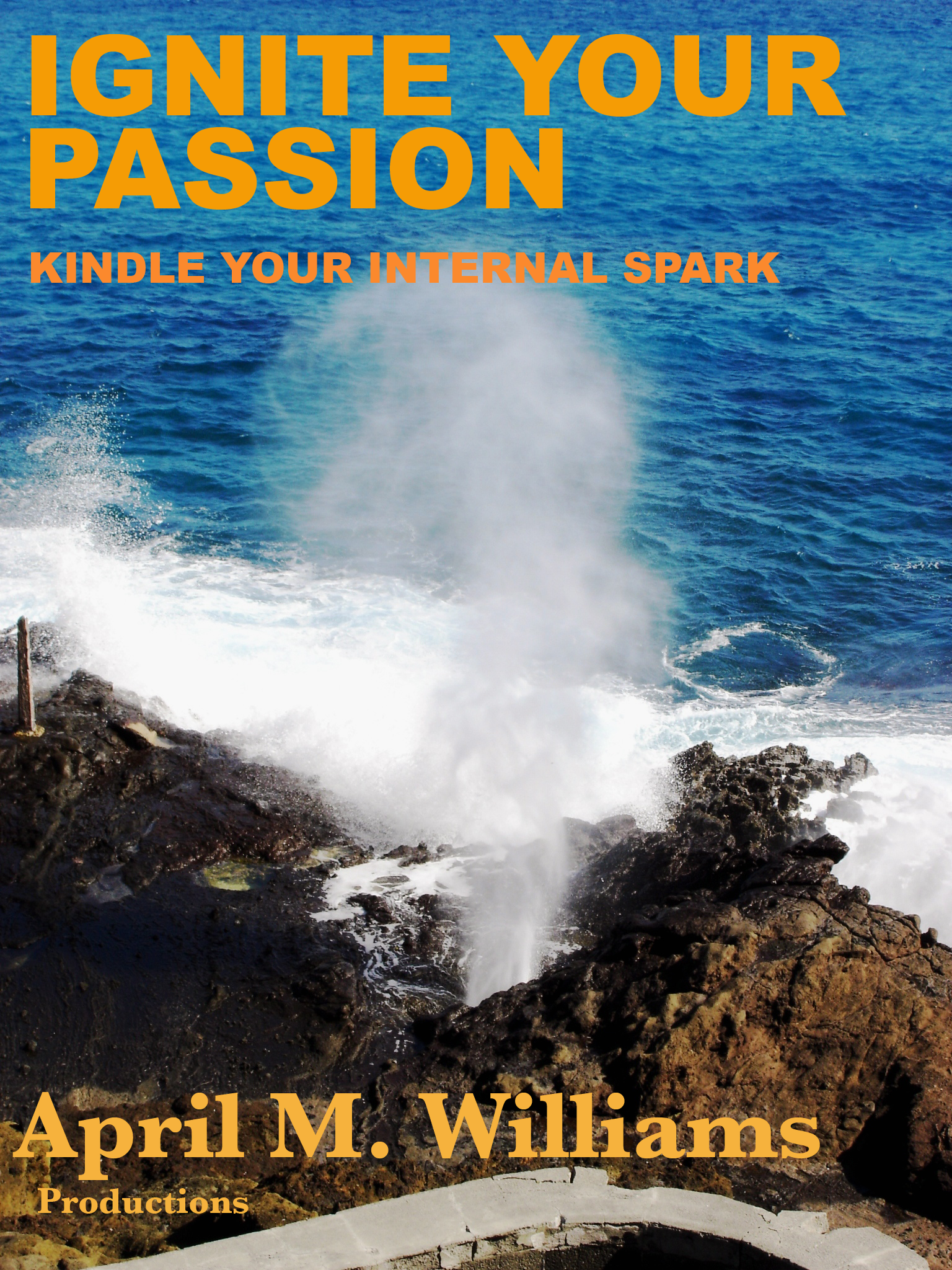 Ignite Your Passion KIndle Your Internal Spark ebook